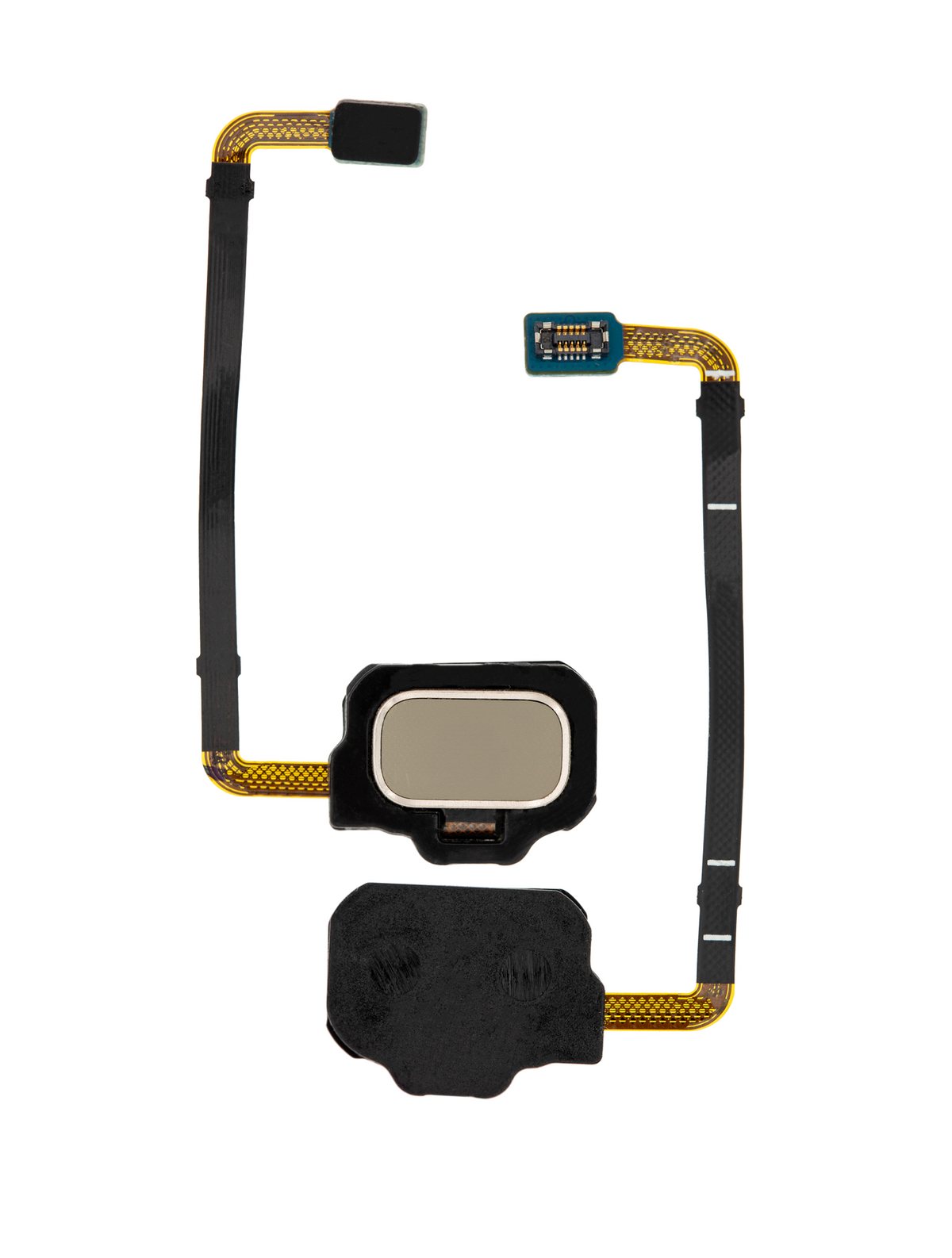 Fingerprint Reader With Flex Cable Replacement Compatible For Samsung Galaxy S8 Active (Tungsten Gold)