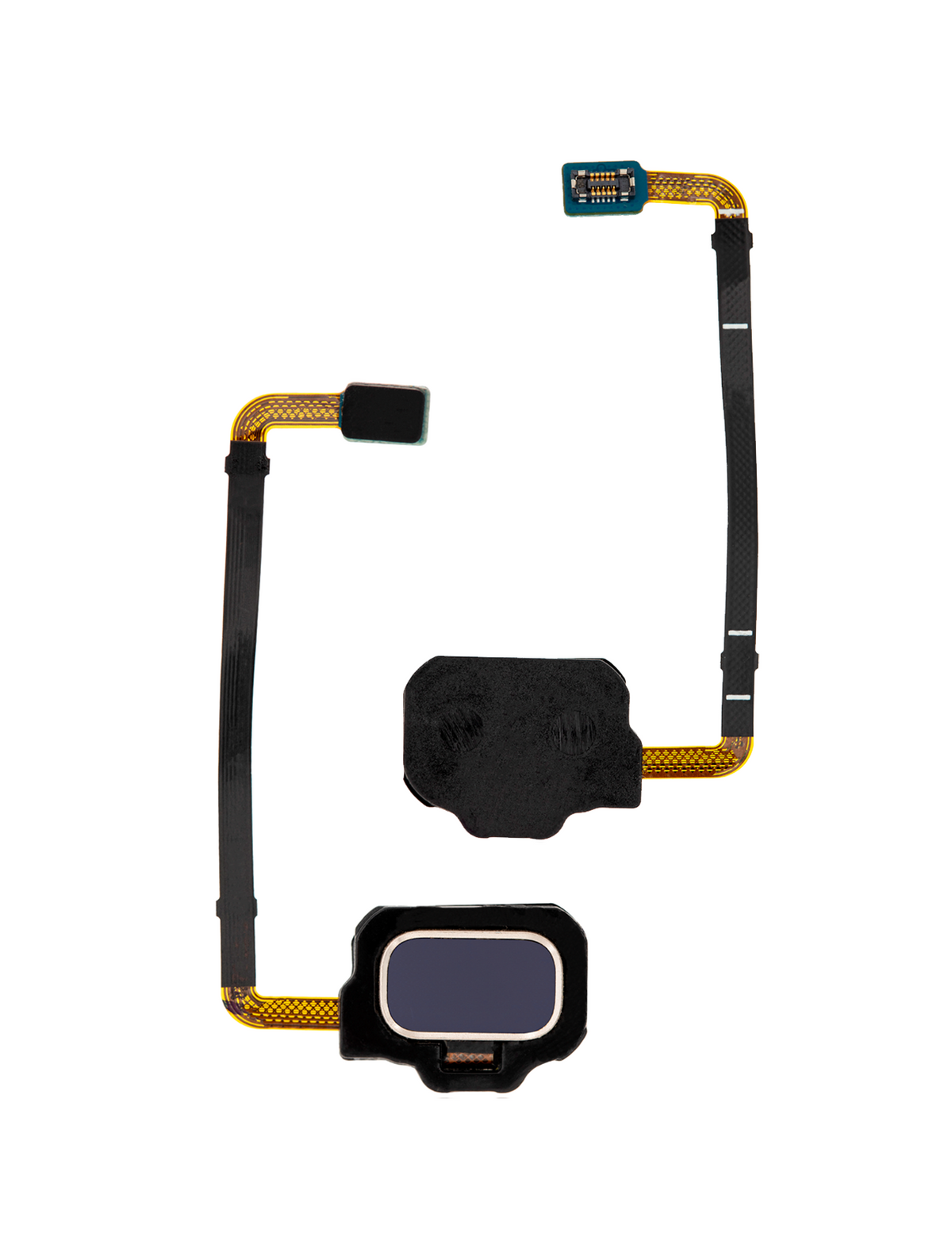 Fingerprint Reader With Flex Cable Compatible For Samsung Galaxy S8 Active Replacement by Macfactory.Store(Blue)