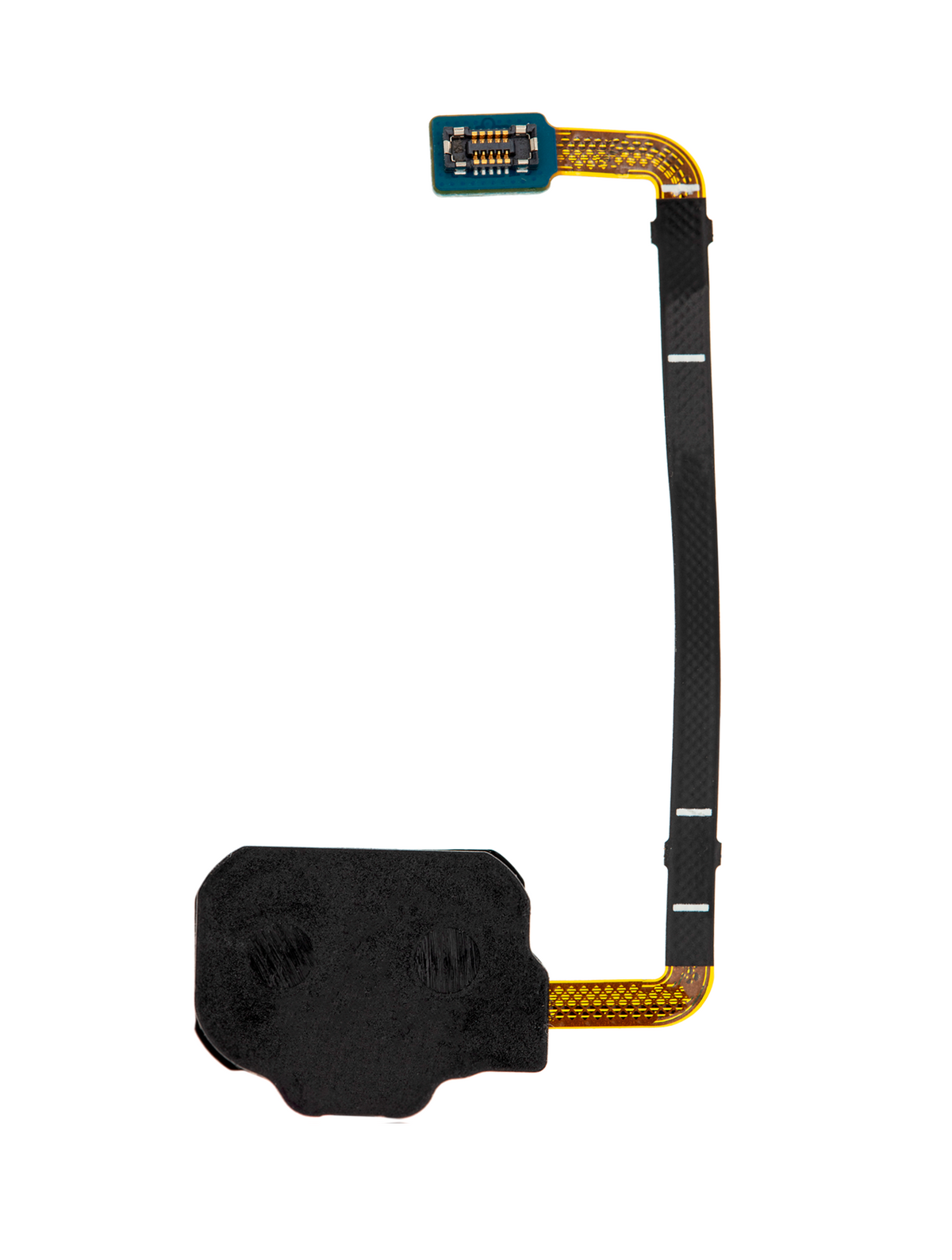 Fingerprint Reader With Flex Cable Compatible For Samsung Galaxy S8 Active Replacement by Macfactory.Store(Blue)