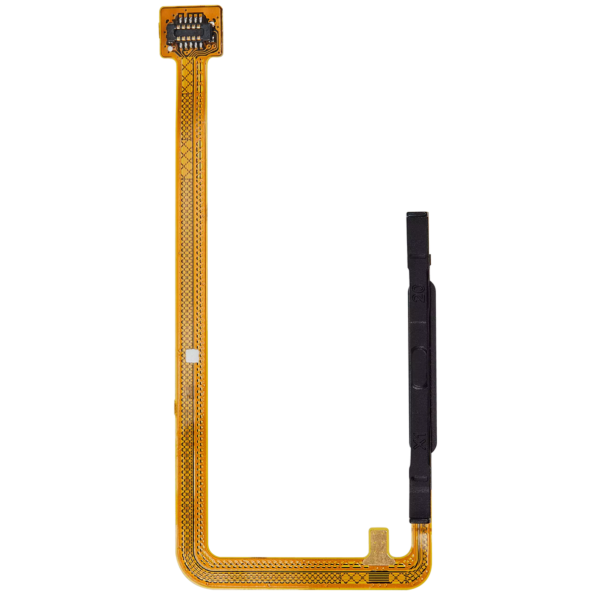 Fingerprint Reader With Flex Cable Compatible For Samsung Galaxy A06 (A065 / 2024) (Premium) (Blue)