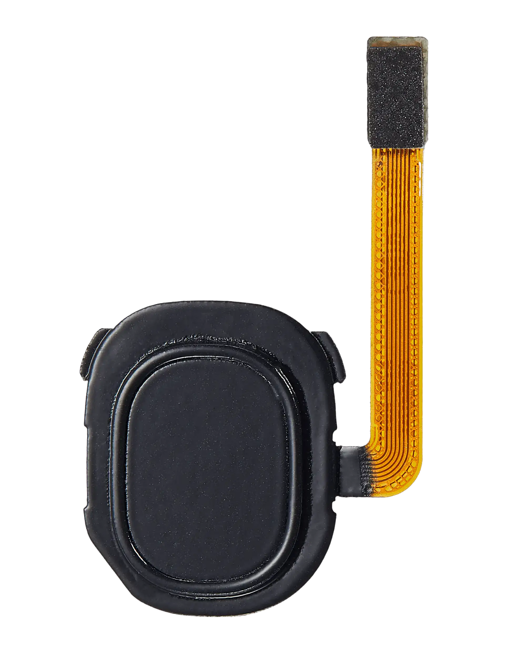 Fingerprint Reader With Flex Cable Compatible For Samsung Galaxy A20 (A205 / 2019) (Black)