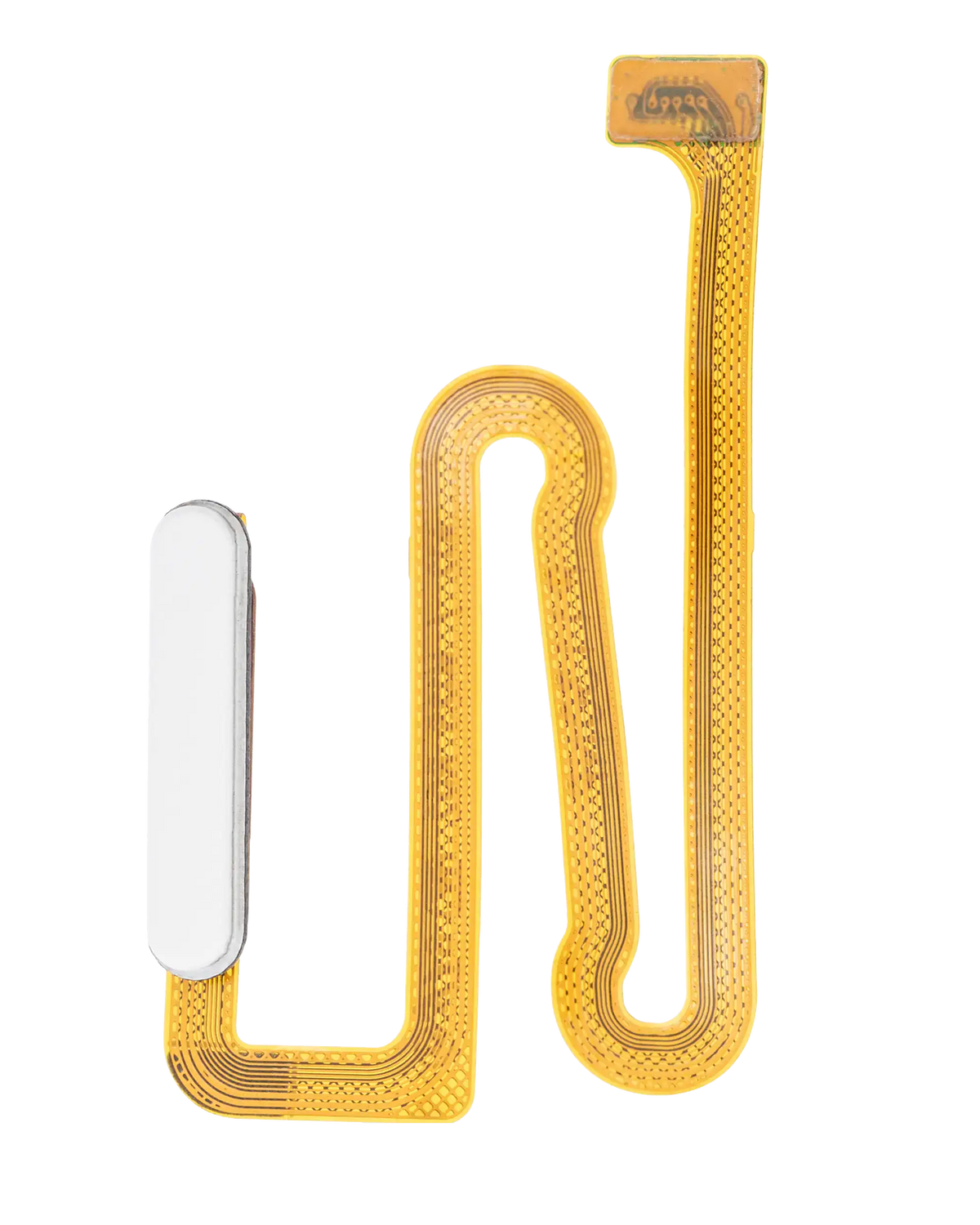 Fingerprint Reader With Flex Cable Compatible For Samsung Galaxy A12 (A125 / 2020) (White)