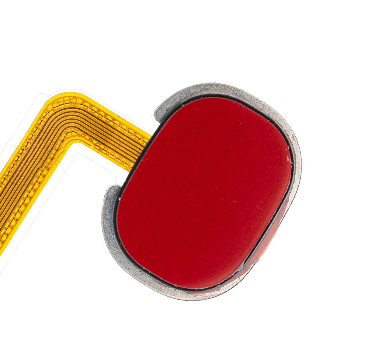 Fingerprint Reader With Flex Cable Compatible For Samsung Galaxy A20 (A205 / 2019) (Red)