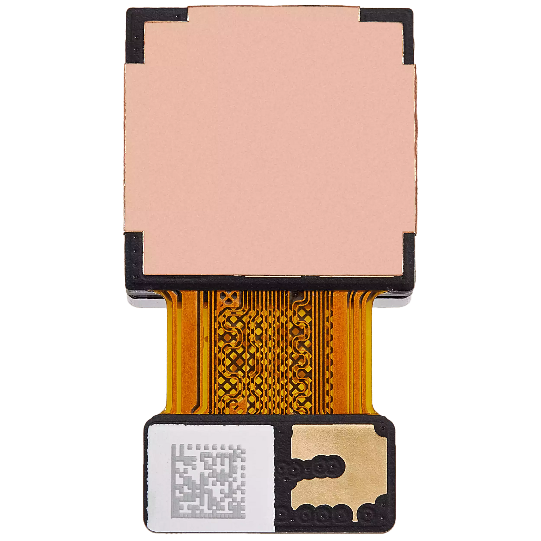 Back Camera (Wide) Compatible For Samsung Galaxy A14 5G (A146U/P / 2023)